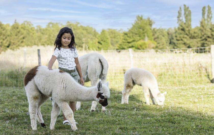 Sortie scolaire parc animalier Parrot World - Mini-ferme immersive Gratuite