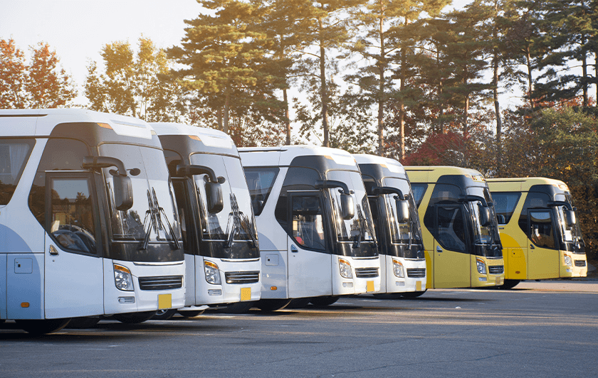 Sortie scolaire parc animalier Parrot World -Parking bus gratuit