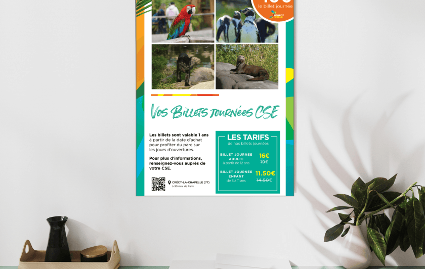 Visuel Affiches CSE