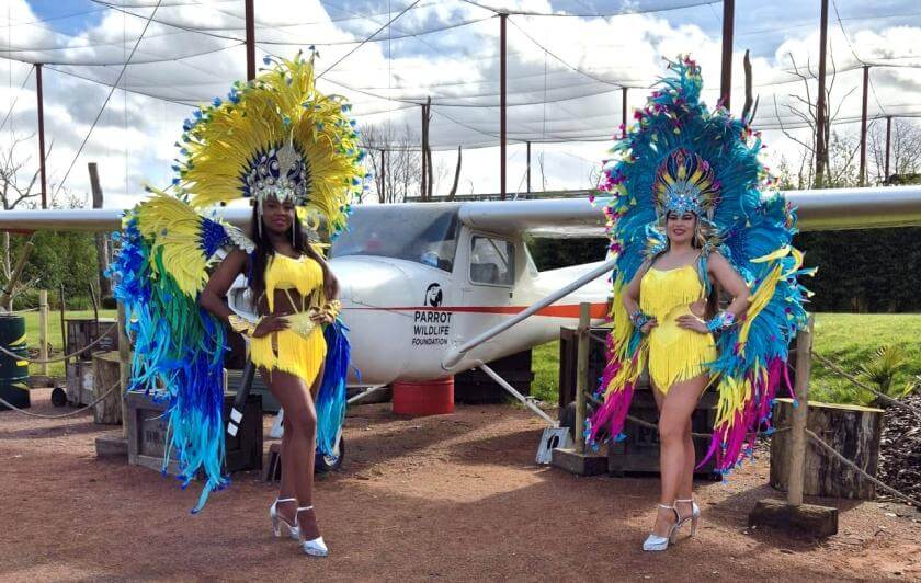 danseuses bresiliennes parrot world.jpg